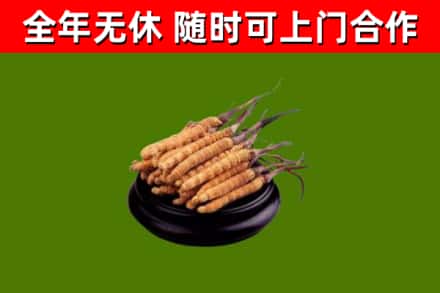 顺河区烟酒回收冬虫夏草.jpg