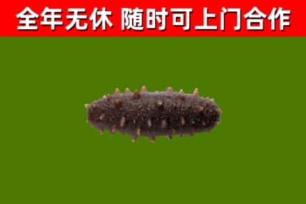 顺河区烟酒回收干海参.jpg